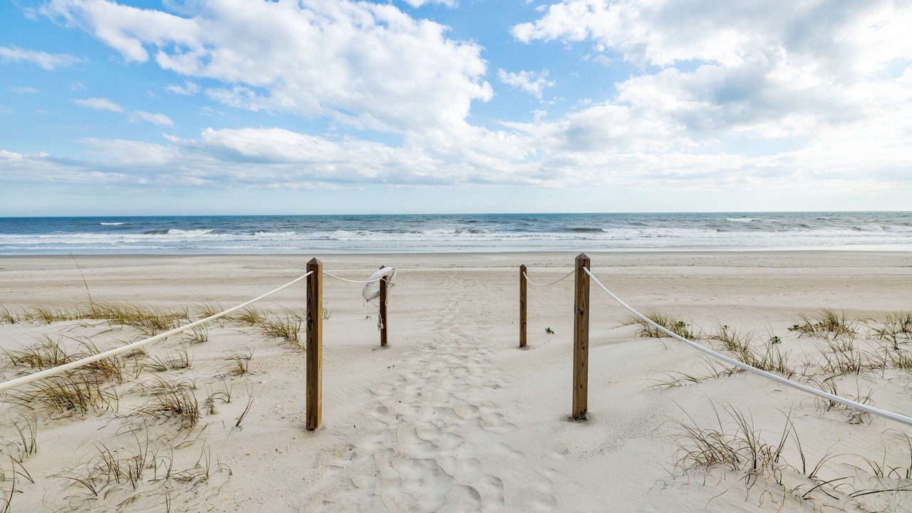 Photo of Others in Pine Knoll Shores