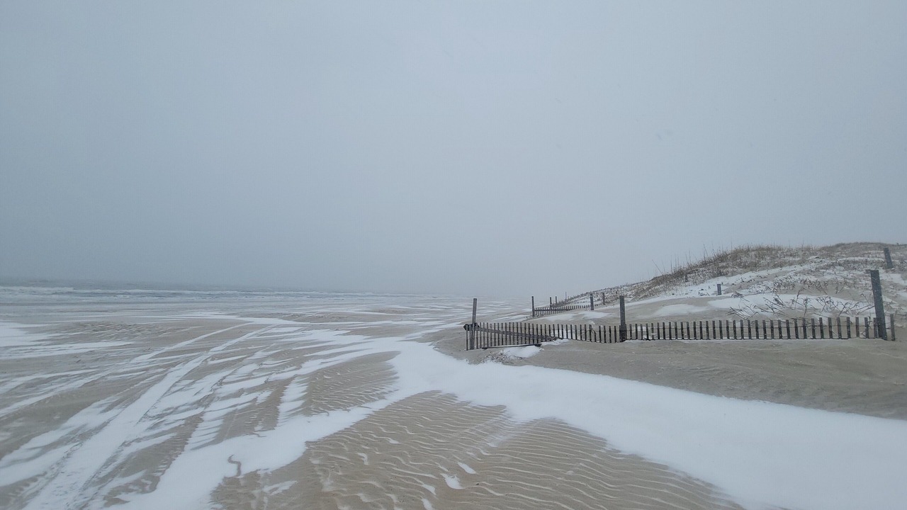 Photo of Others in Carova Beach