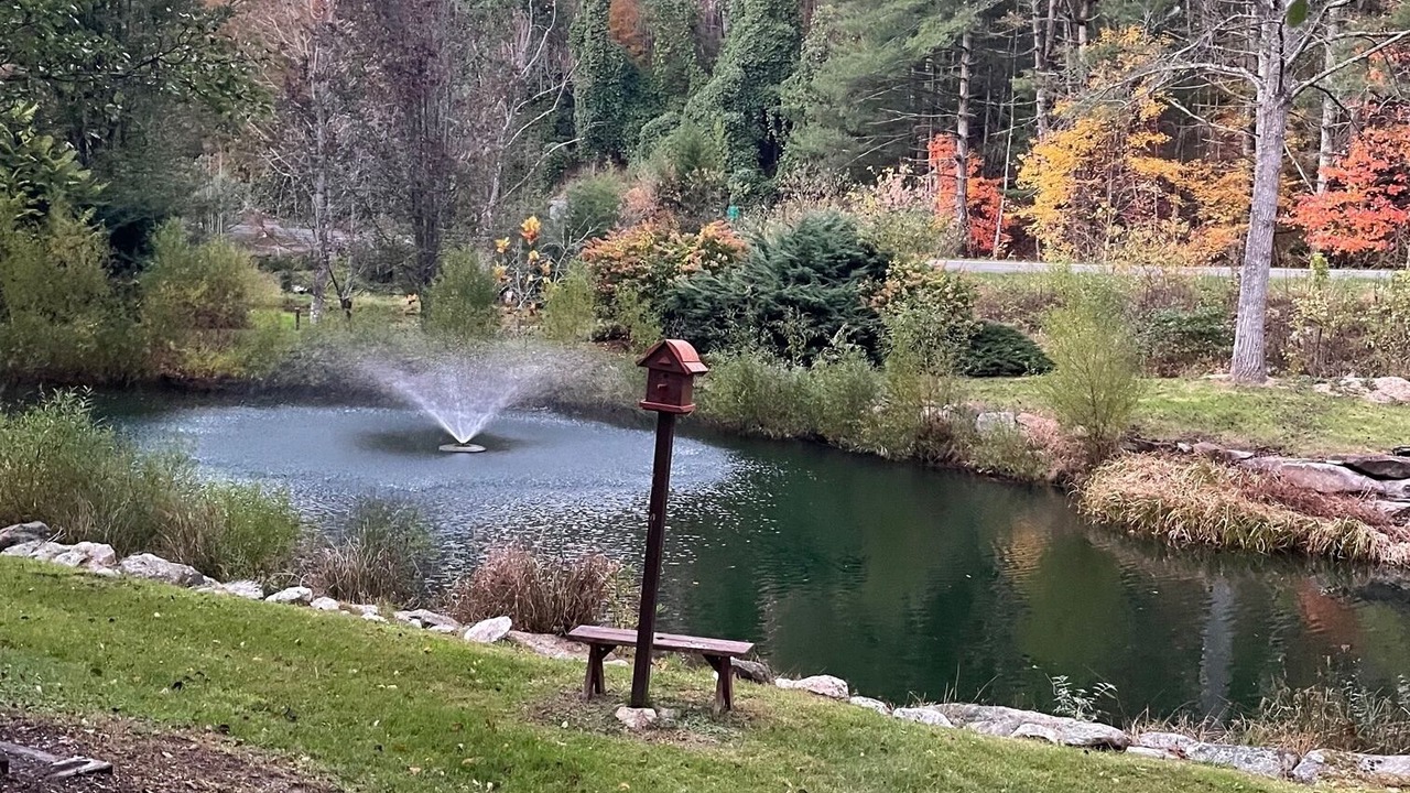 Photo of Outdoor in Piney Creek