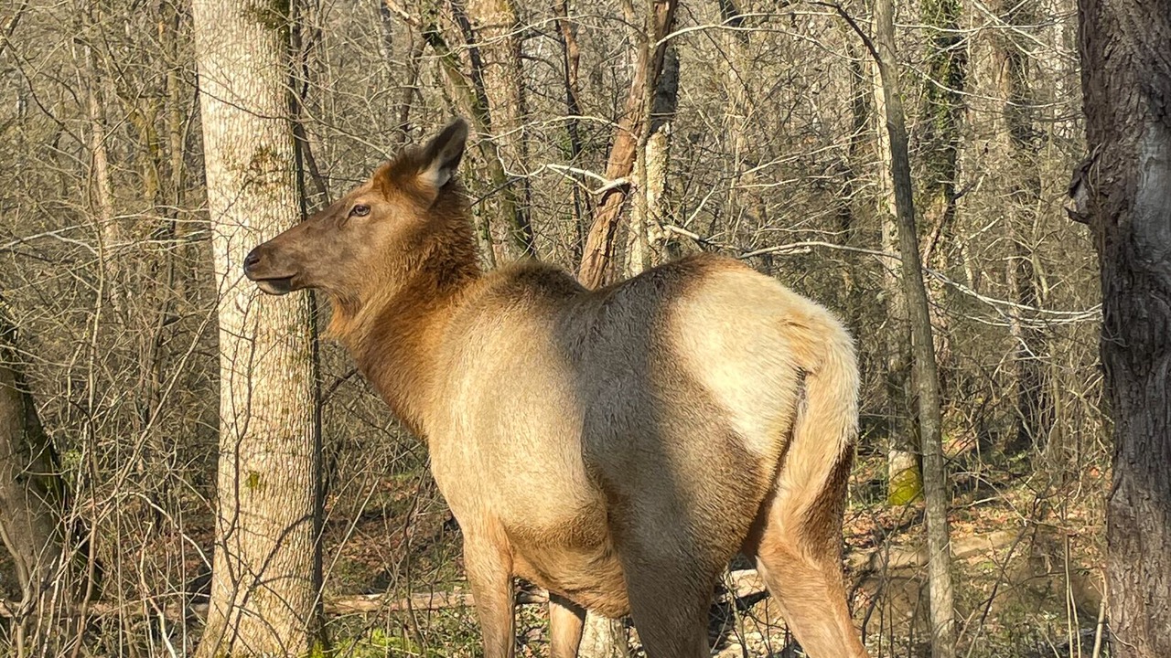 Photo of Others in Cherokee