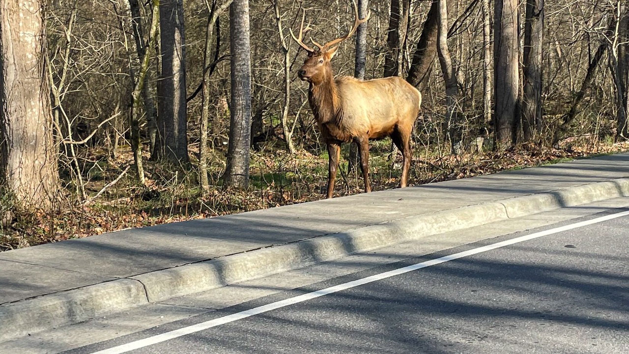 Photo of Others in Cherokee