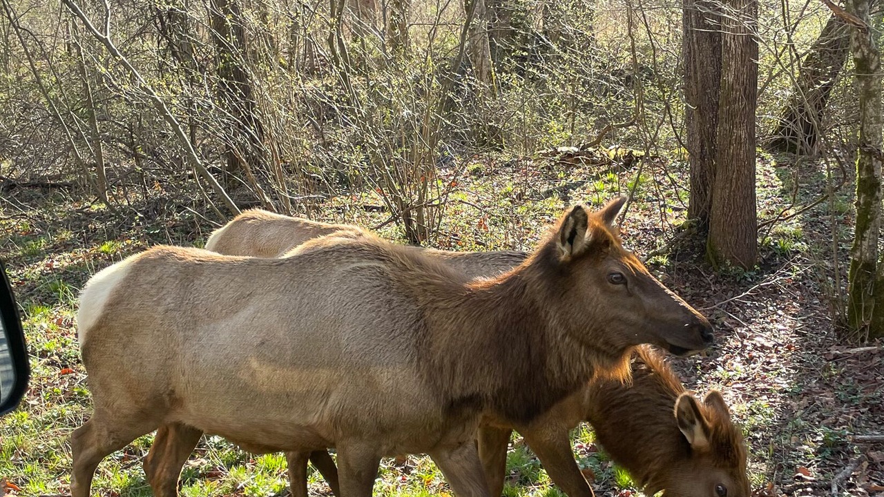 Photo of Others in Cherokee