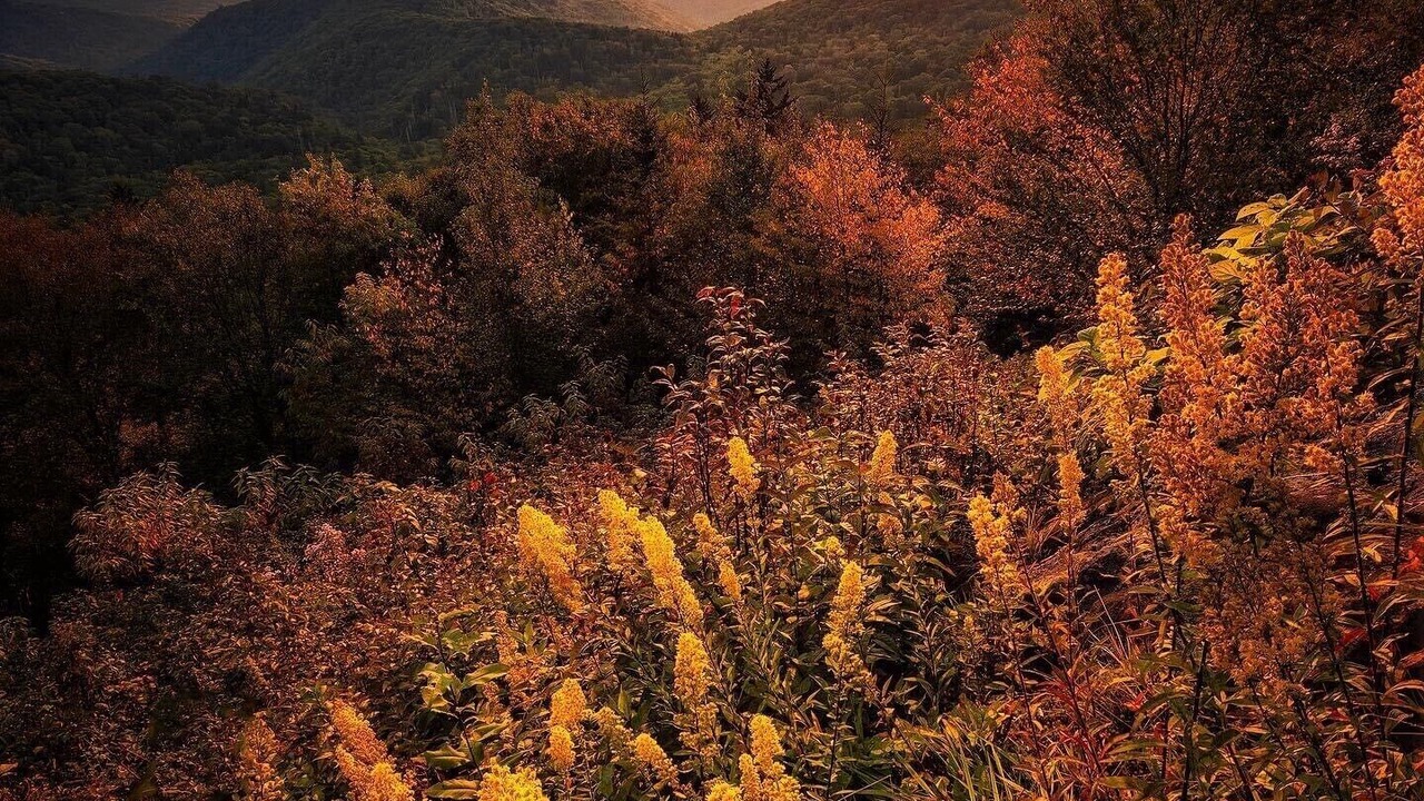 Photo of Others in Lake Junaluska