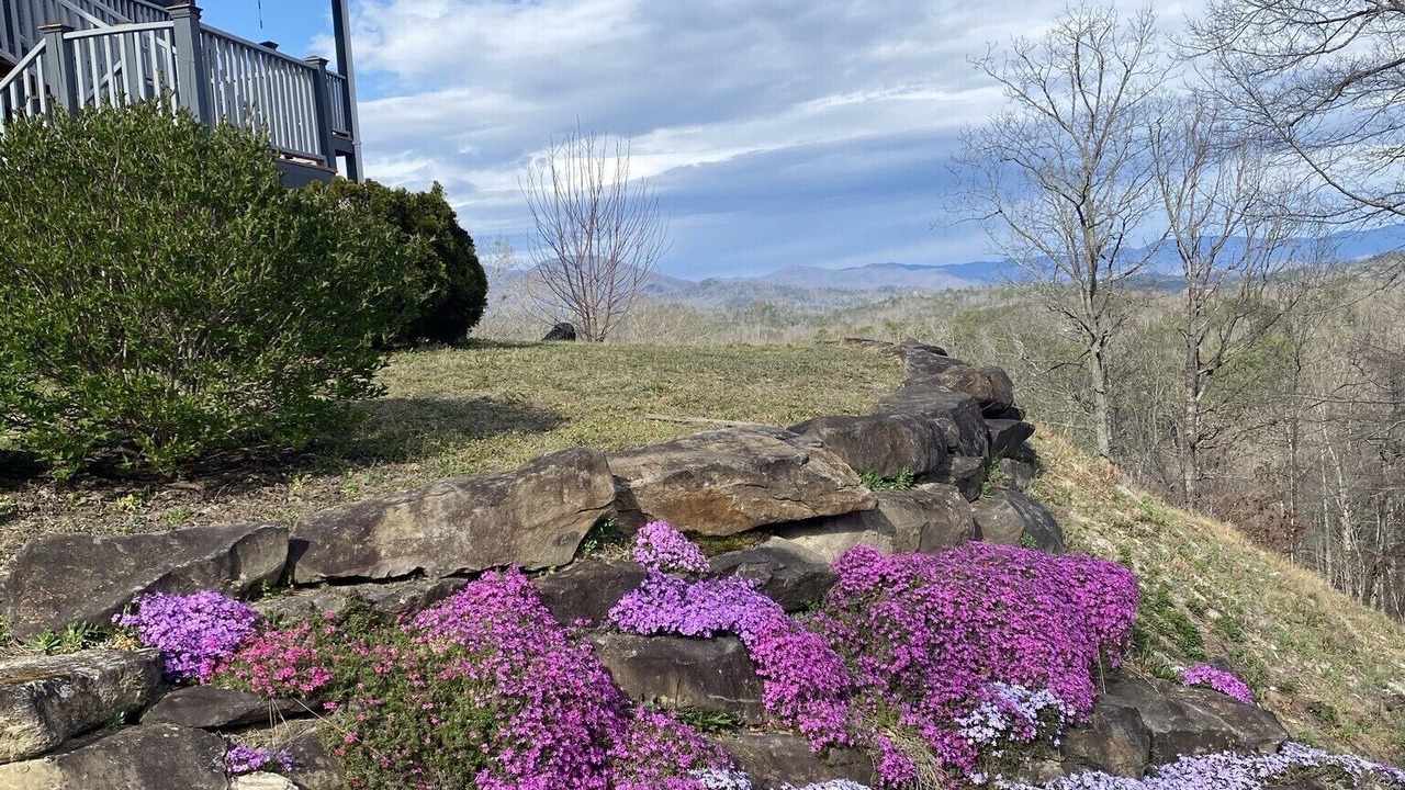 Photo of Others in Bryson City