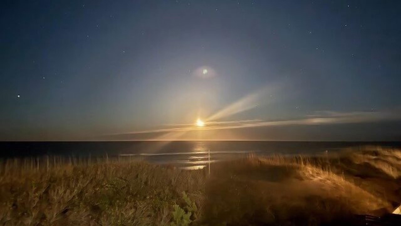 Photo of Others in Nags Head
