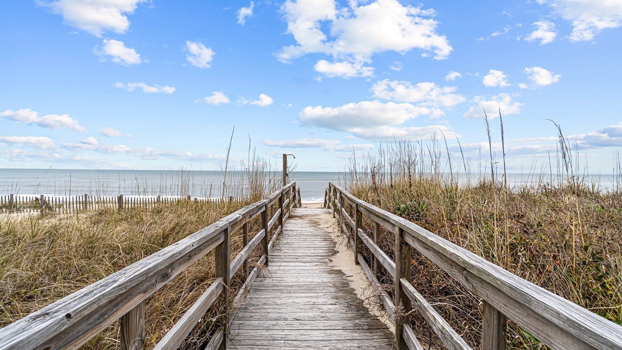 Photo of Others in Carolina Dunes