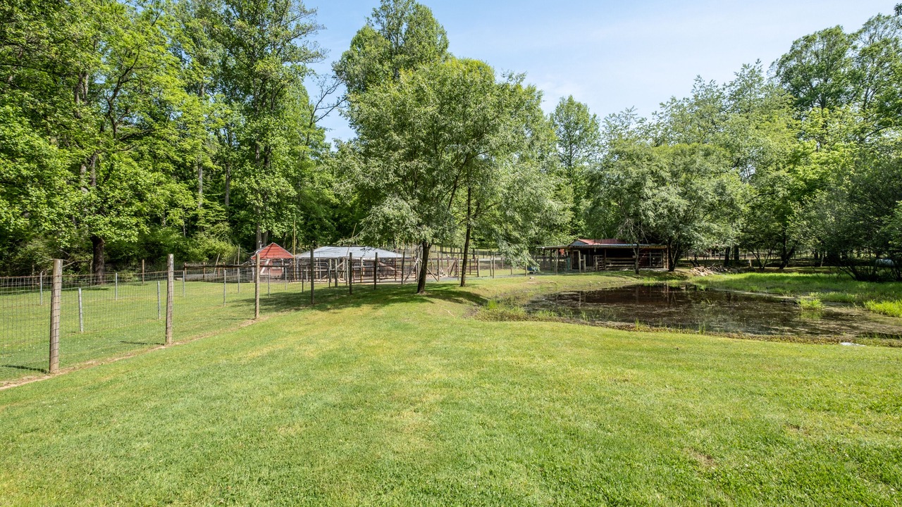 Photo of Outdoor in Murphy