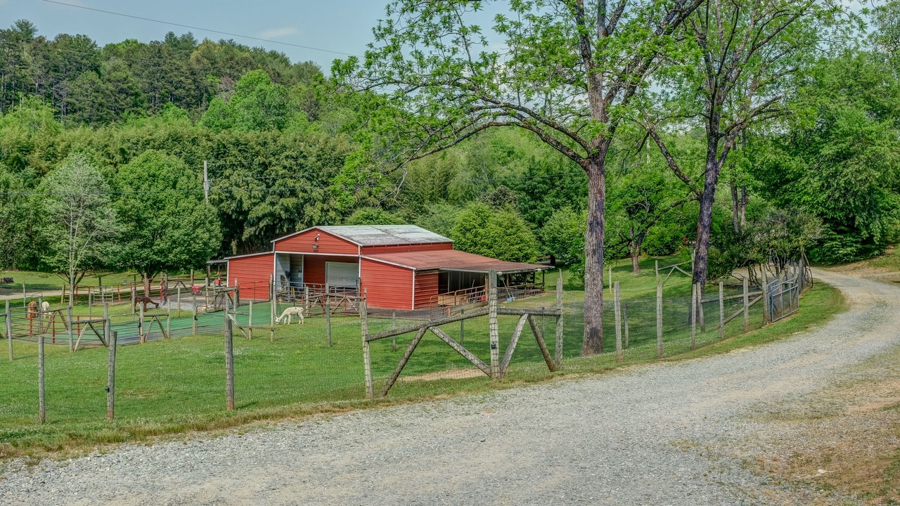 Photo of Others in Murphy