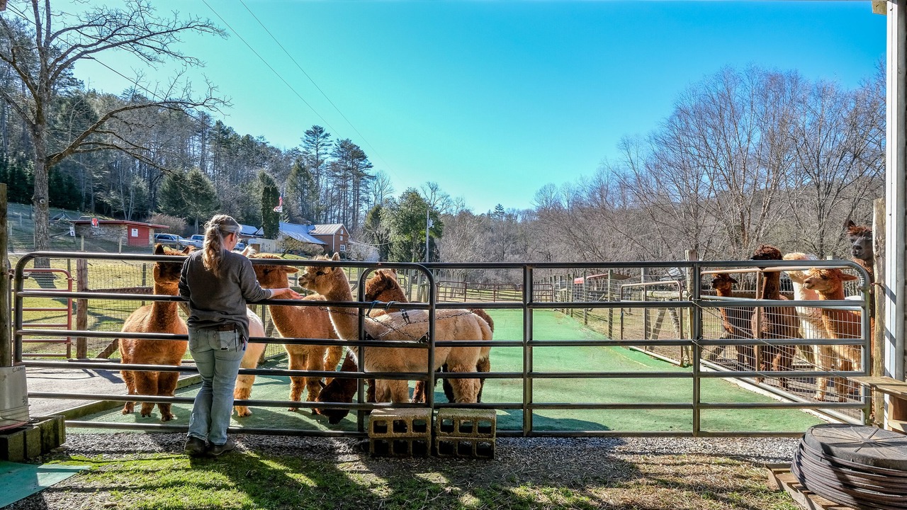 Photo of Others in Murphy