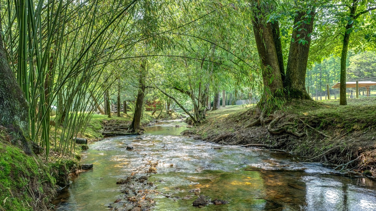 Photo of Outdoor in Murphy