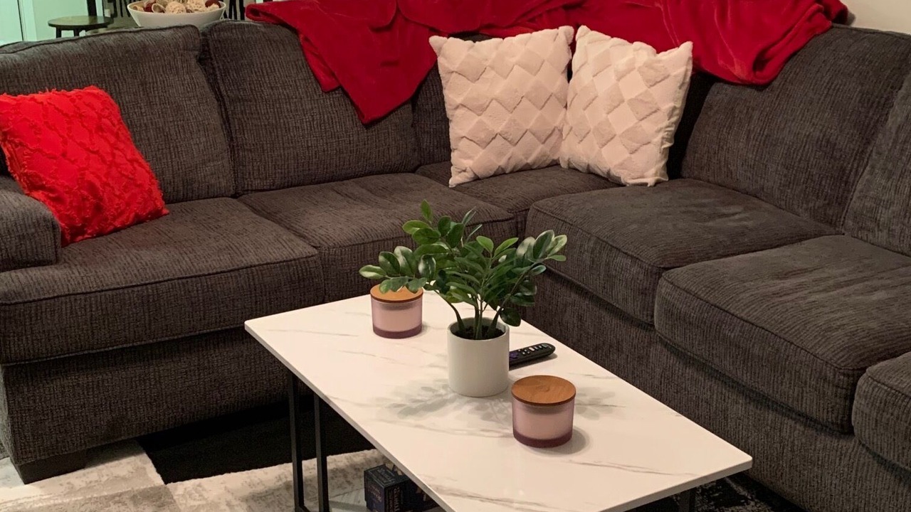 Photo of Livingroom in Plaza Midwood