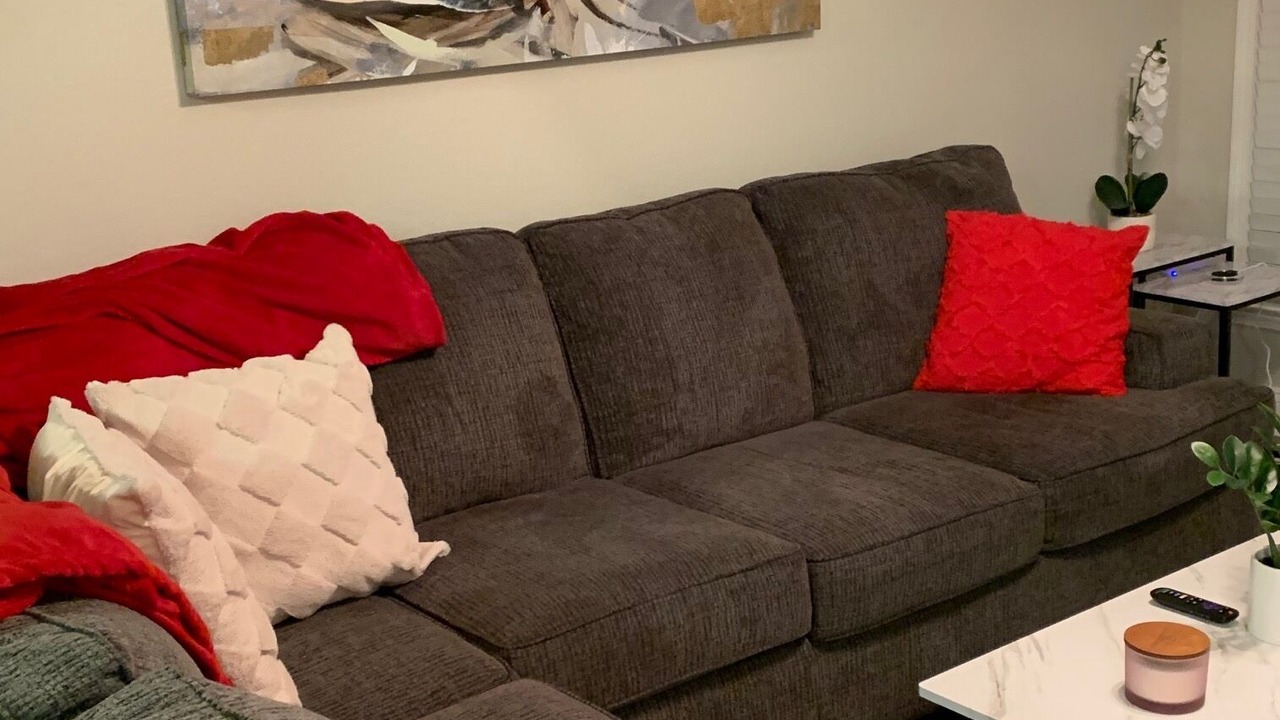 Photo of Livingroom in Plaza Midwood