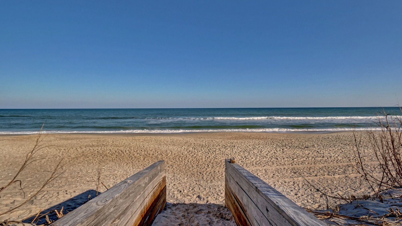 Photo of Others in North Carolina Coast