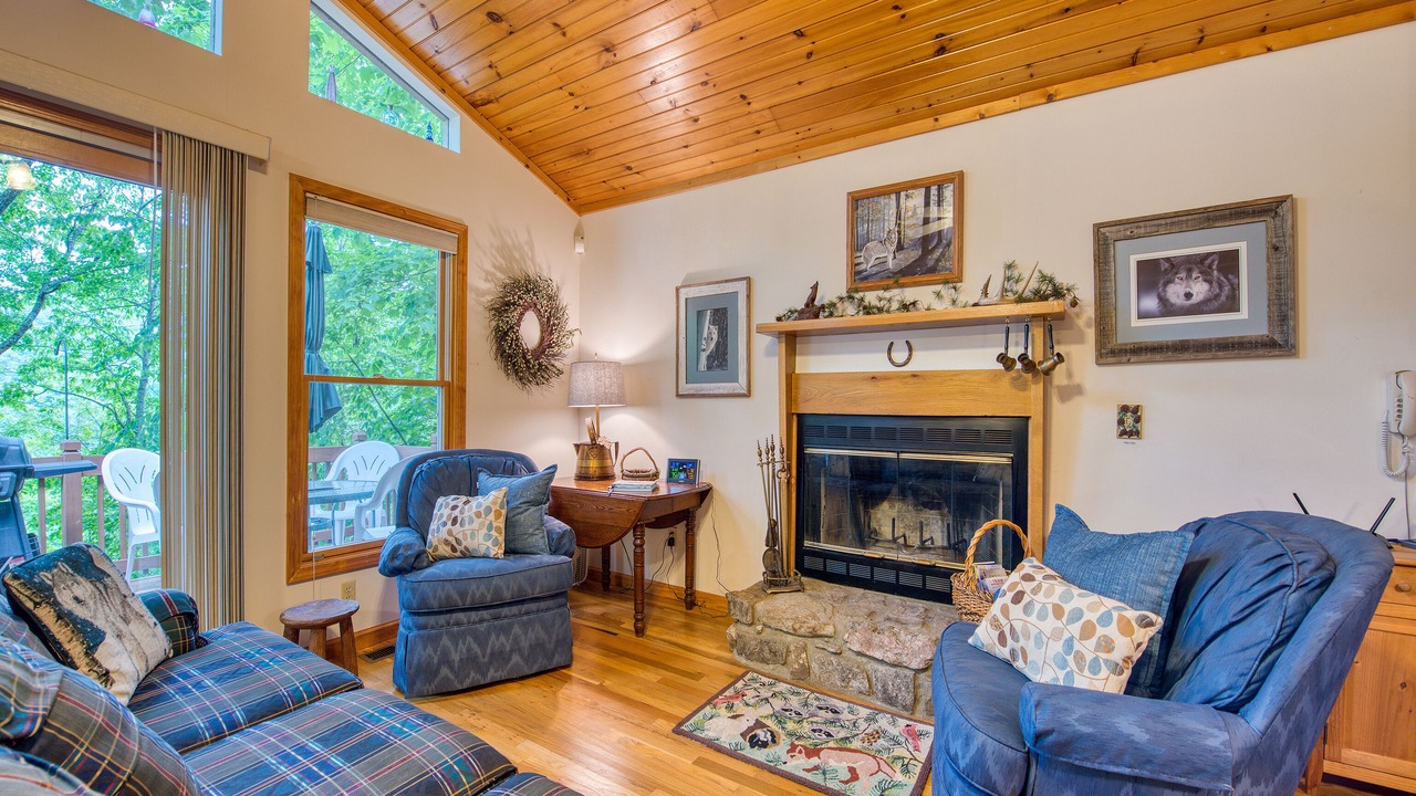 Photo of Livingroom in Maggie Valley