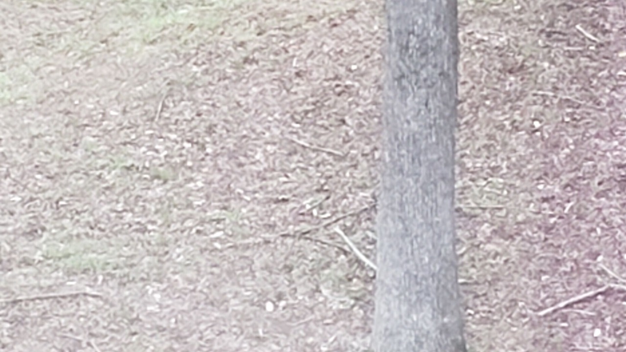 Photo of Others in Rutherfordton