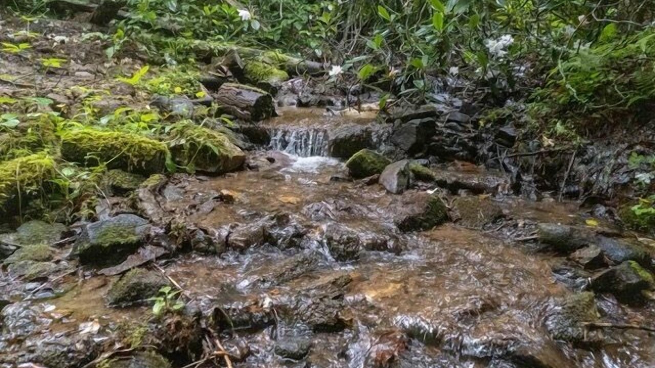 Photo of Outdoor in Sylva