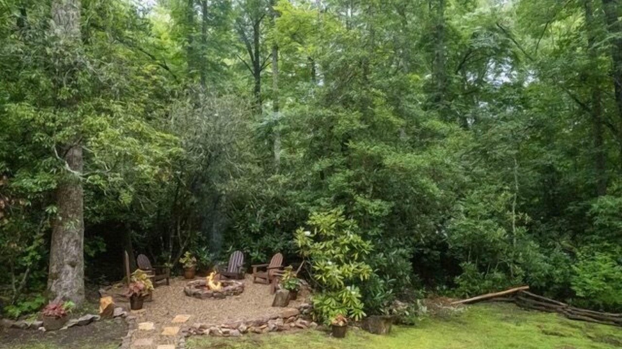 Photo of Outdoor in Sylva