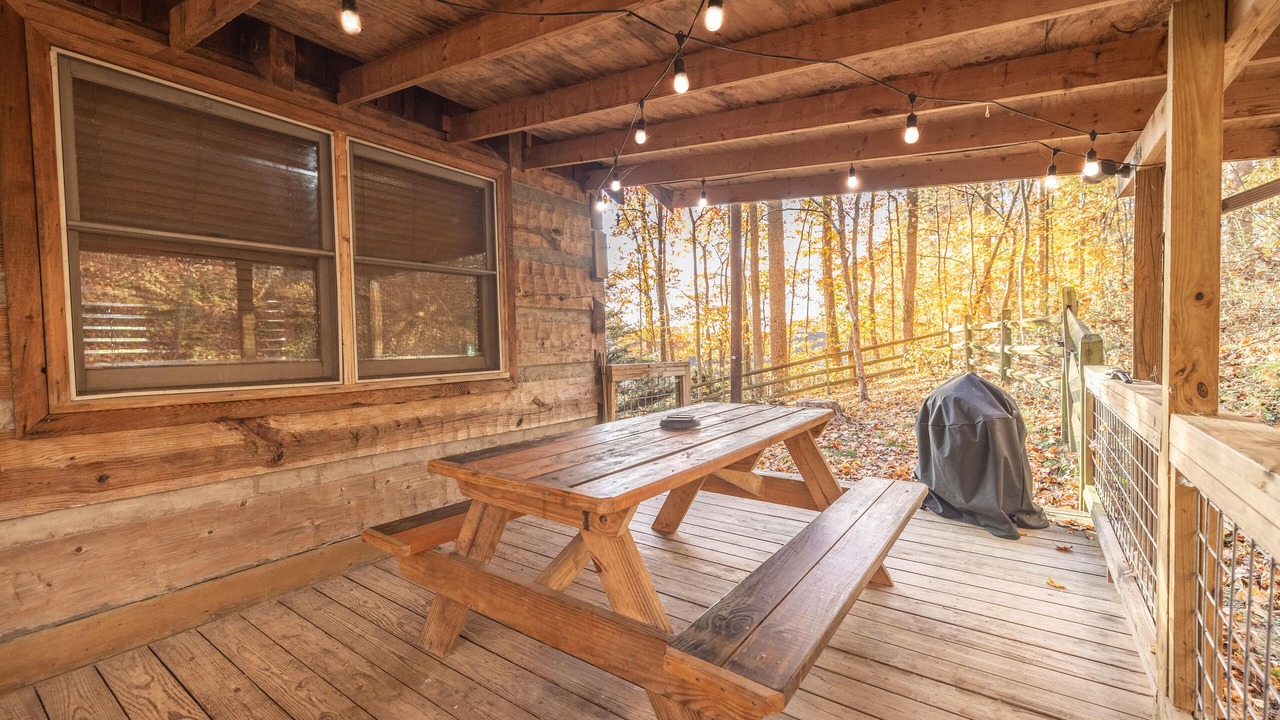 Photo of Outdoor in Candler