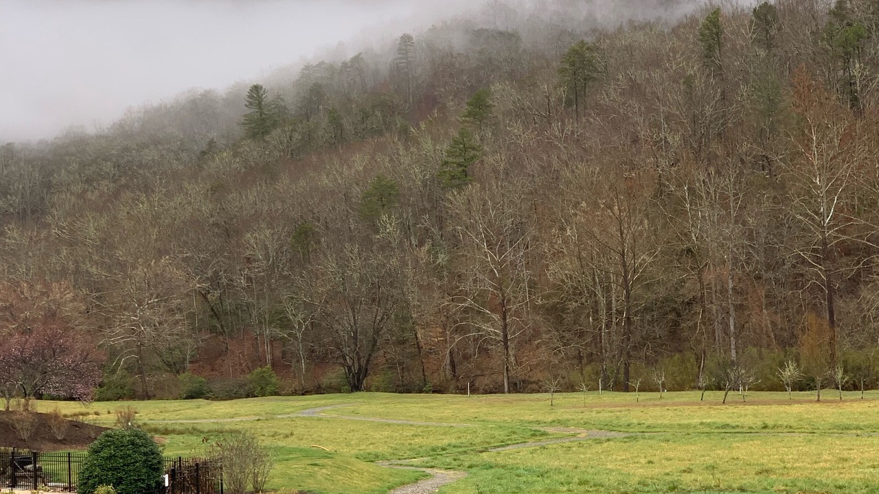 Photo of Others in Cullowhee