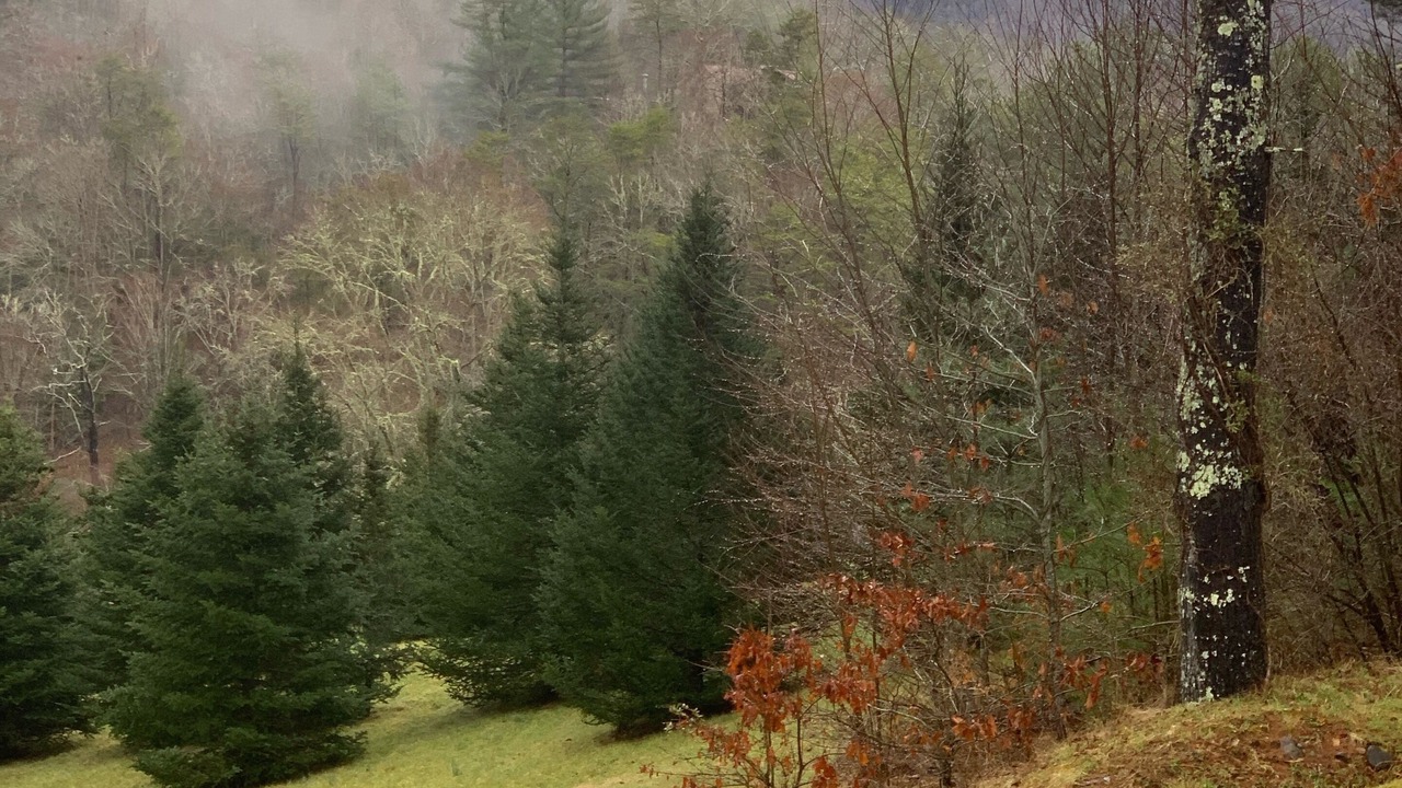 Photo of Outdoor in Cullowhee