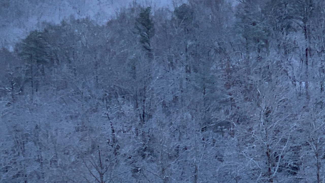 Photo of Others in Cullowhee
