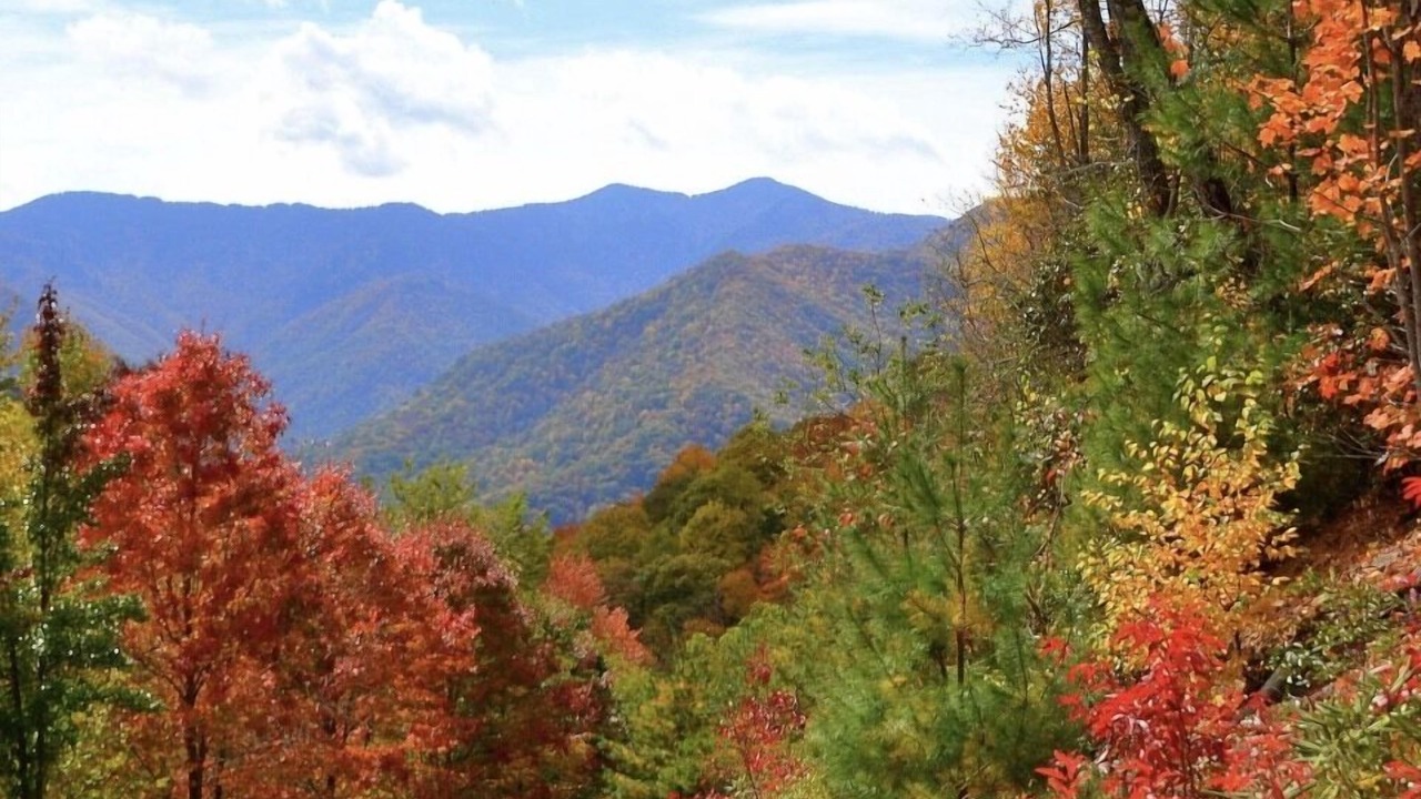 Photo of Others in Cullowhee