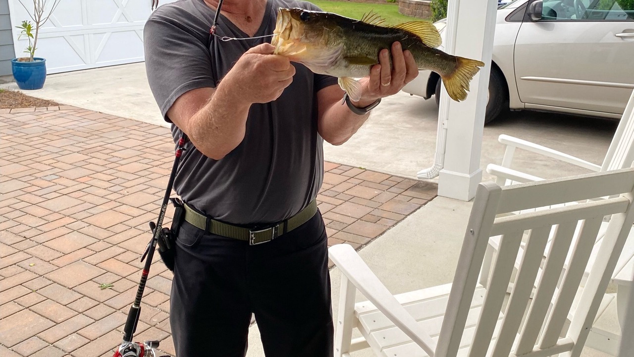 Photo of Others in Morehead City