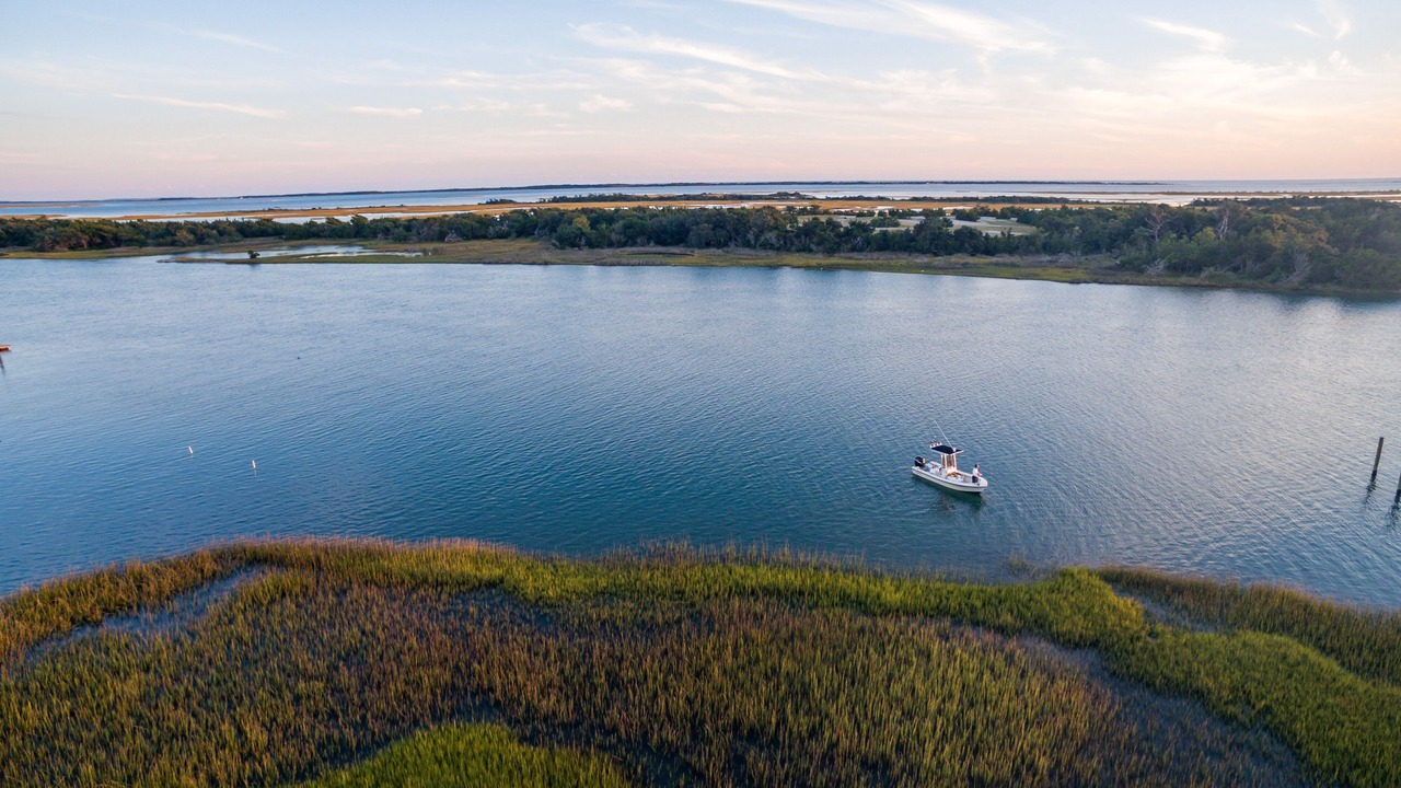 Photo of Others in Morehead City