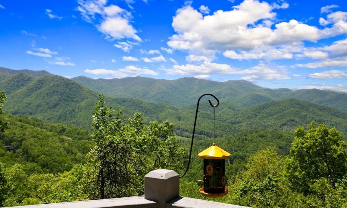 Photo of Outdoor in Hayesville