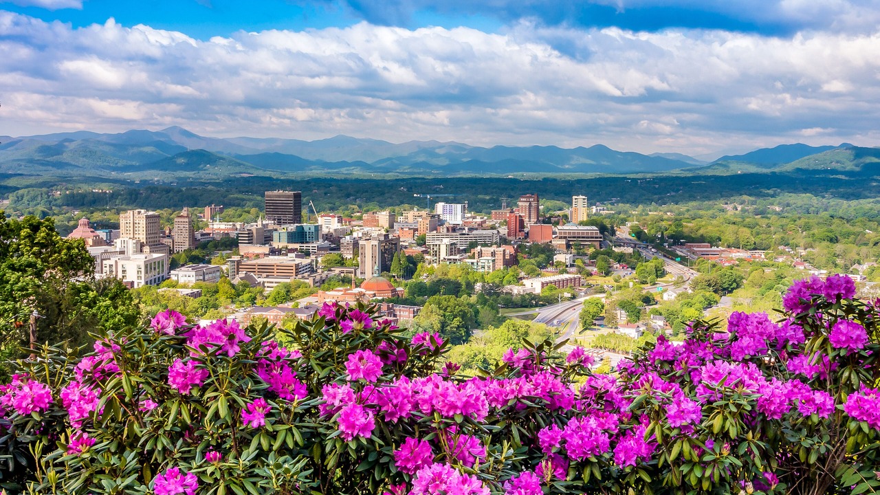 Photo of Others in Asheville