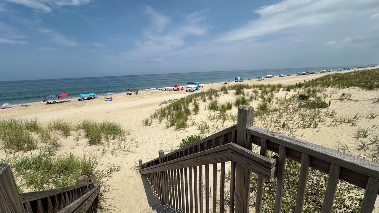 Photo of Others in South Nags Head