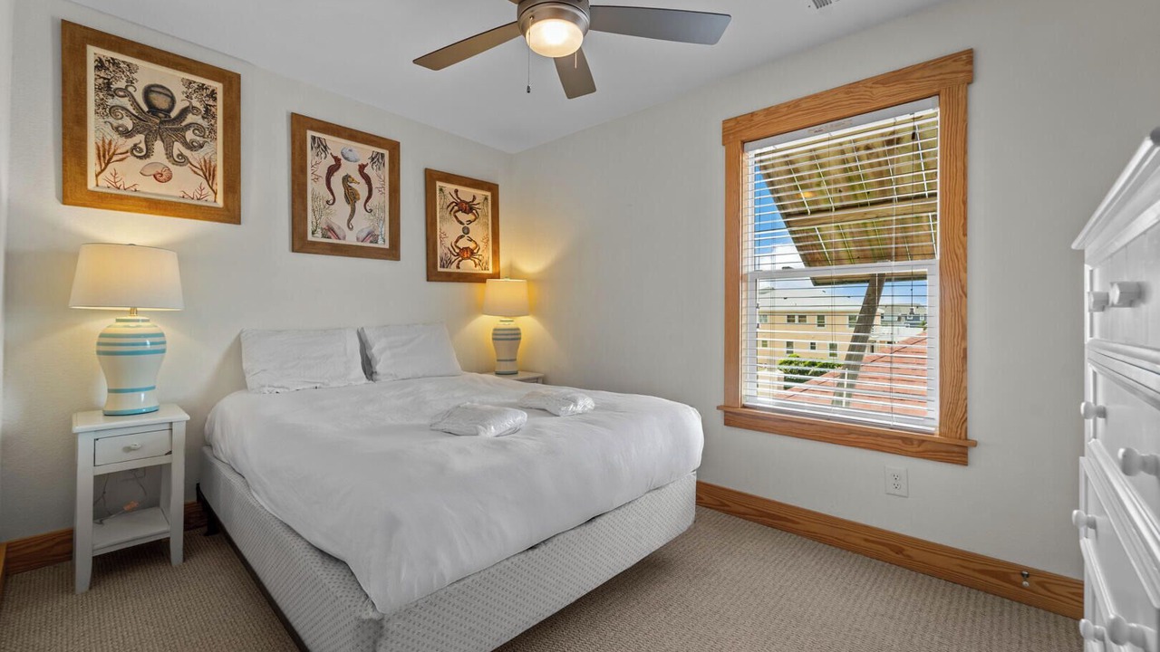 Photo of Others in South Nags Head