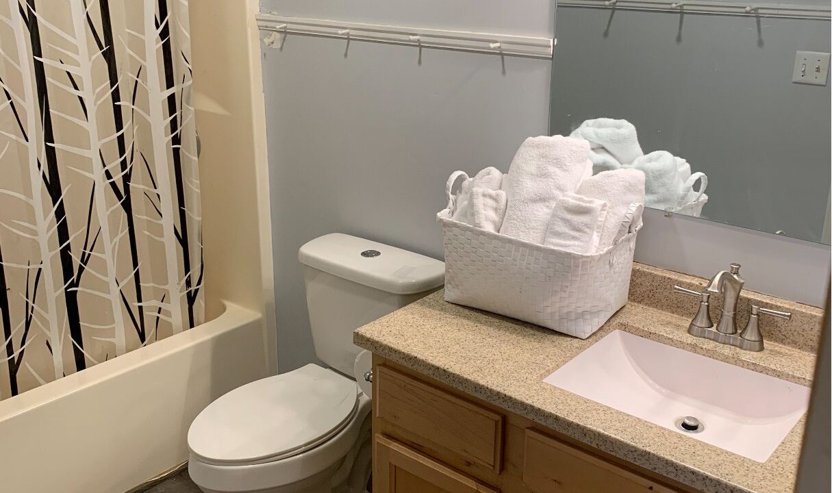 Photo of Bathroom in Swannanoa