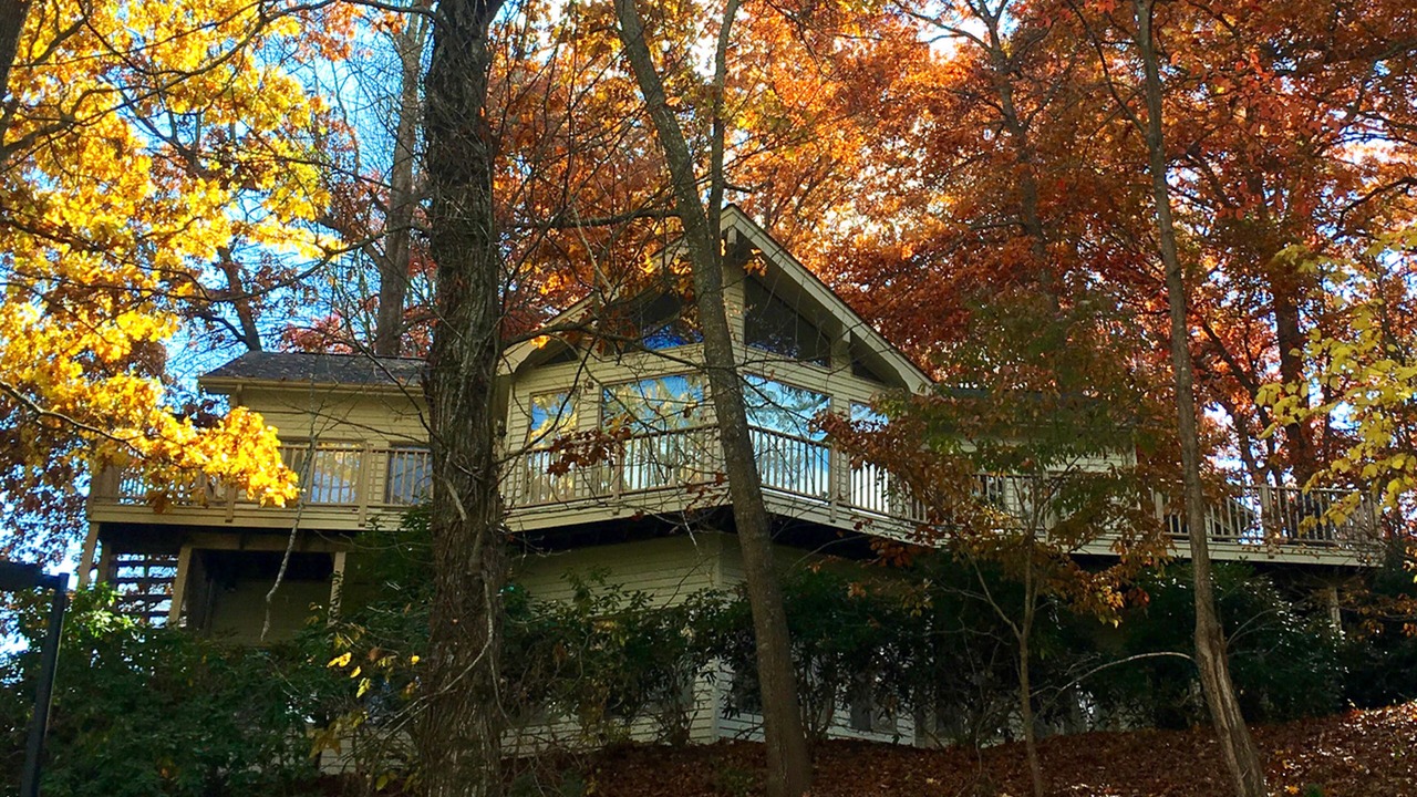Photo of Outdoor in Waynesville