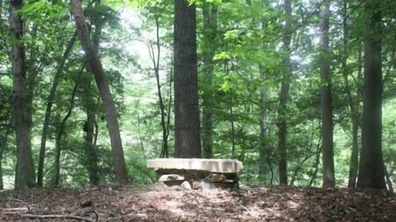 Photo of Others in Hamptonville