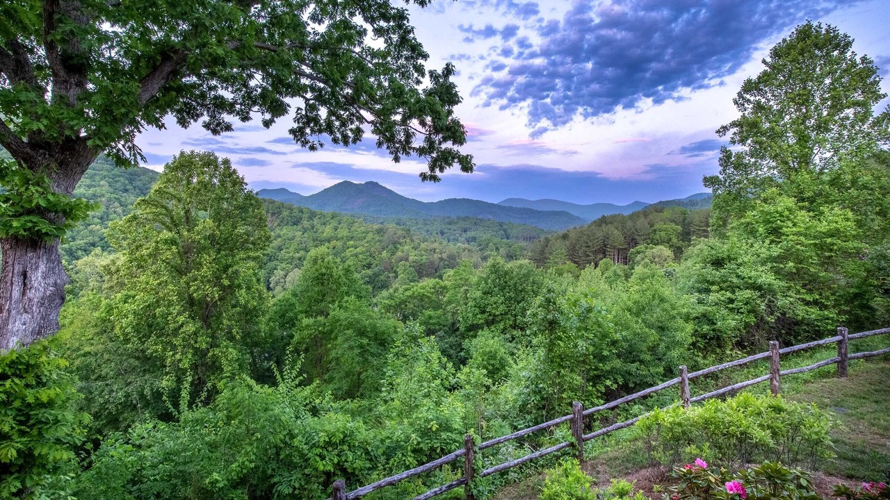 Photo of Others in Cullowhee