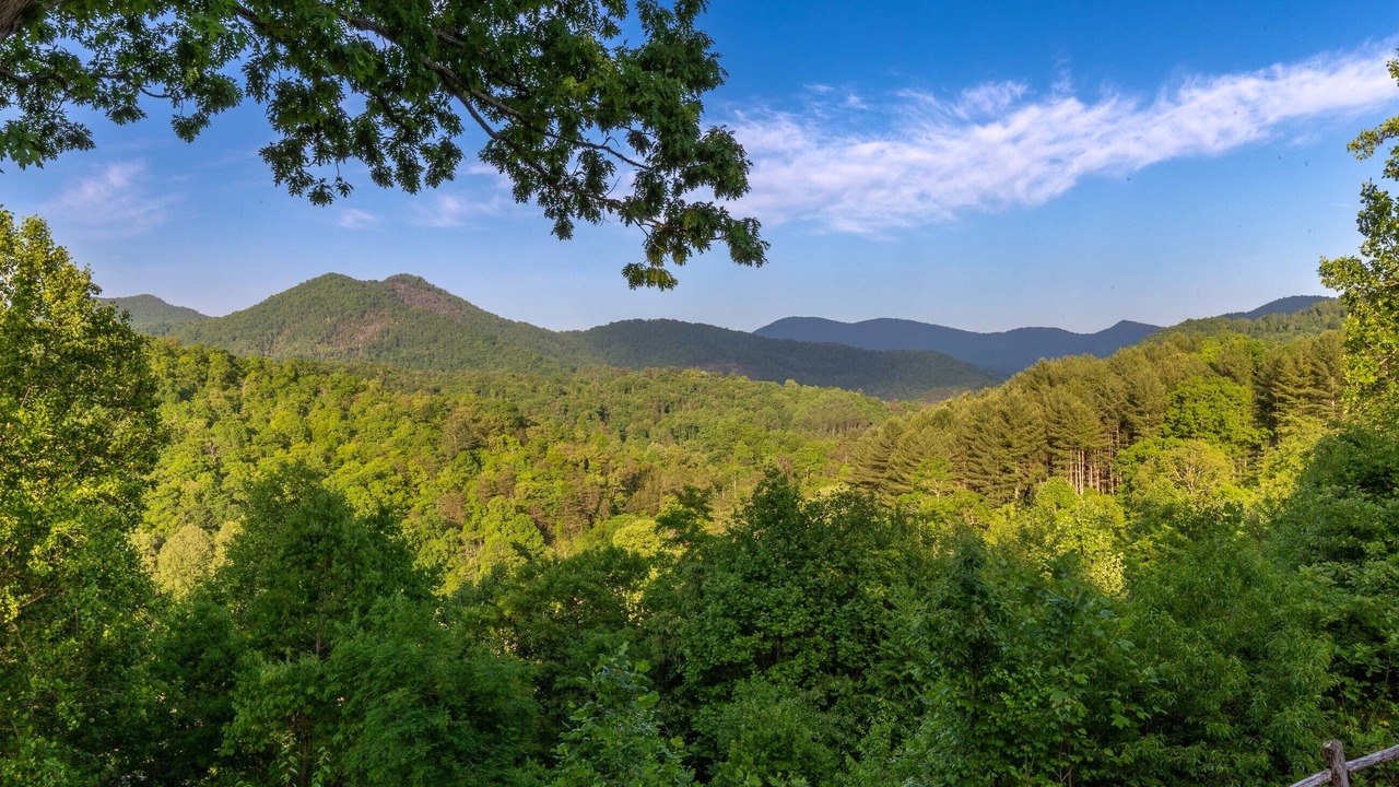 Photo of Others in Cullowhee