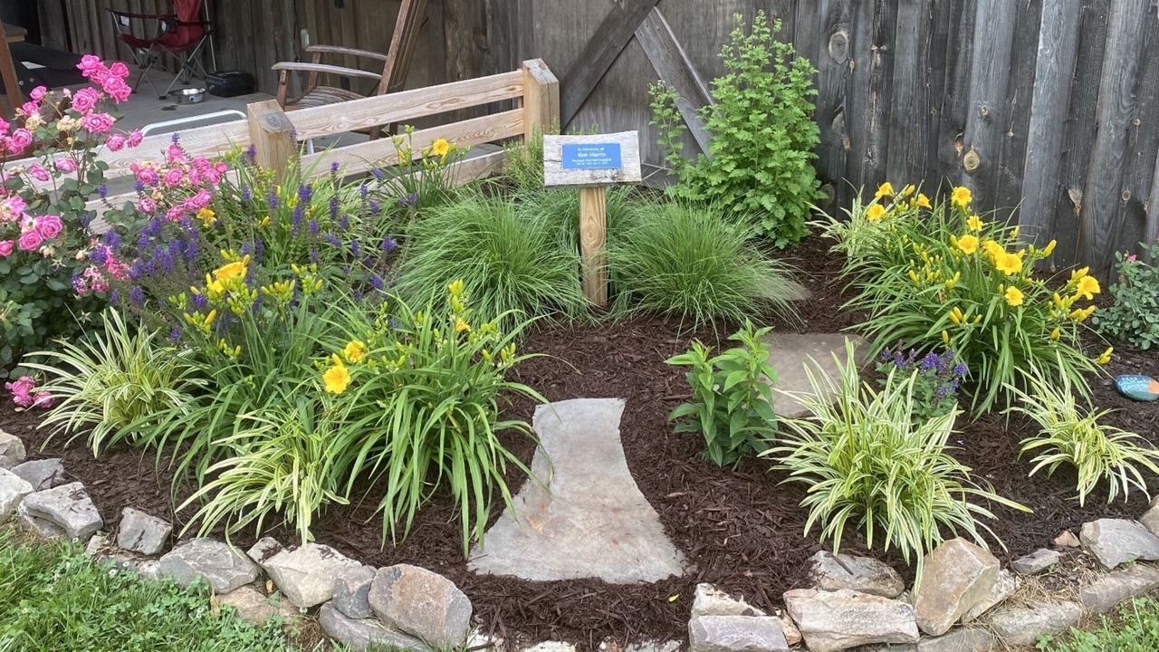 Photo of Outdoor in Arlington