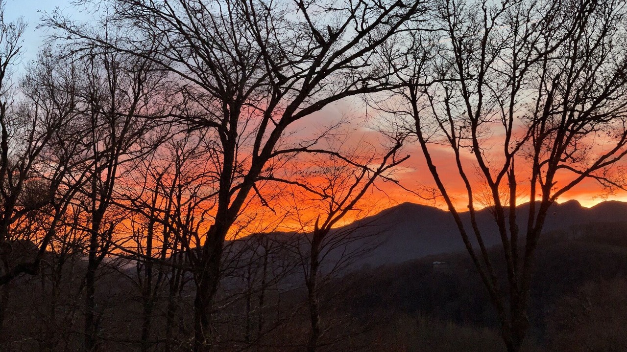 Photo of Others in Sugar Mountain