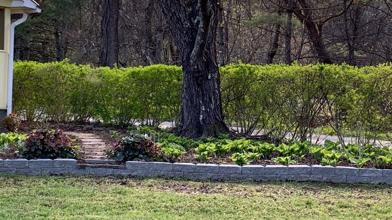 Photo of Outdoor in Hot Springs