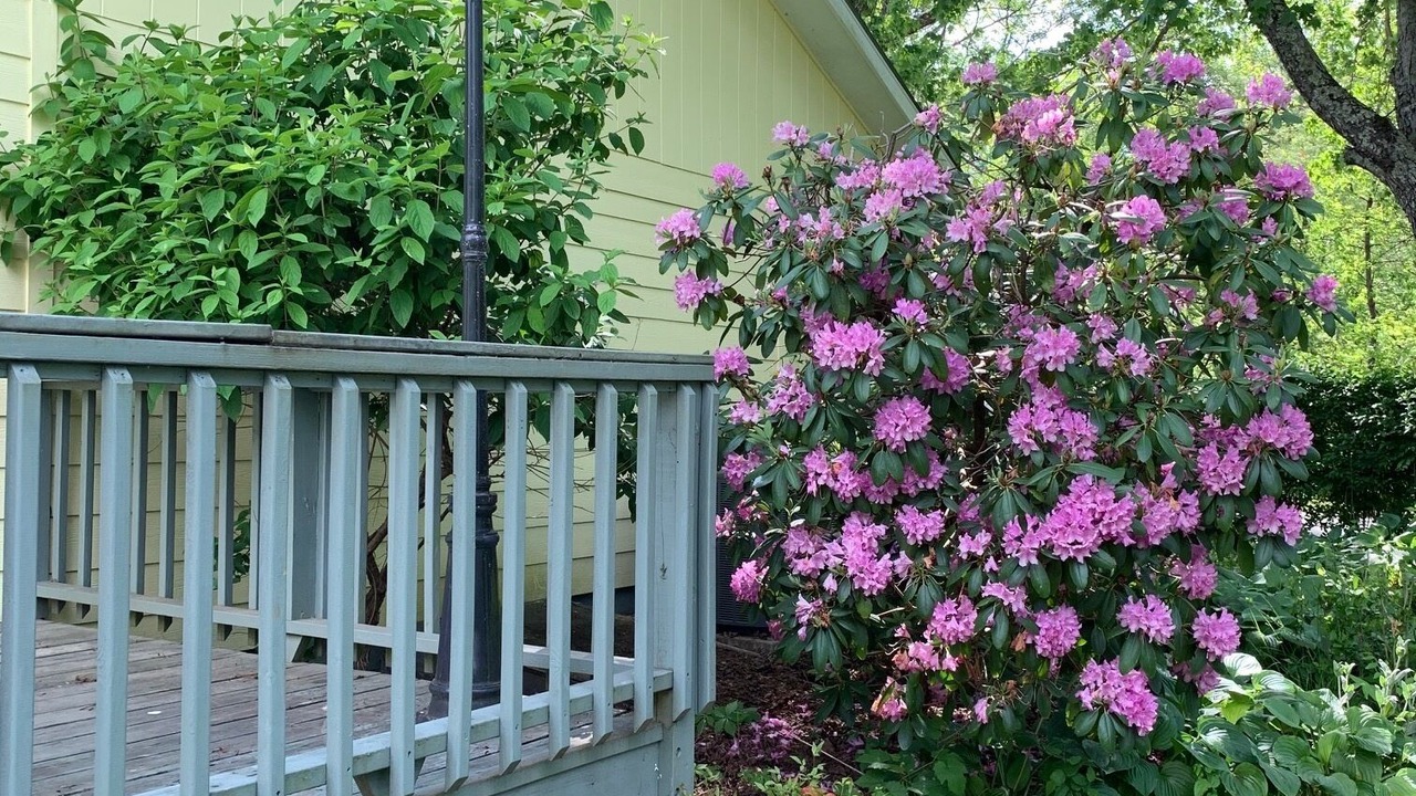 Photo of Outdoor in Hot Springs