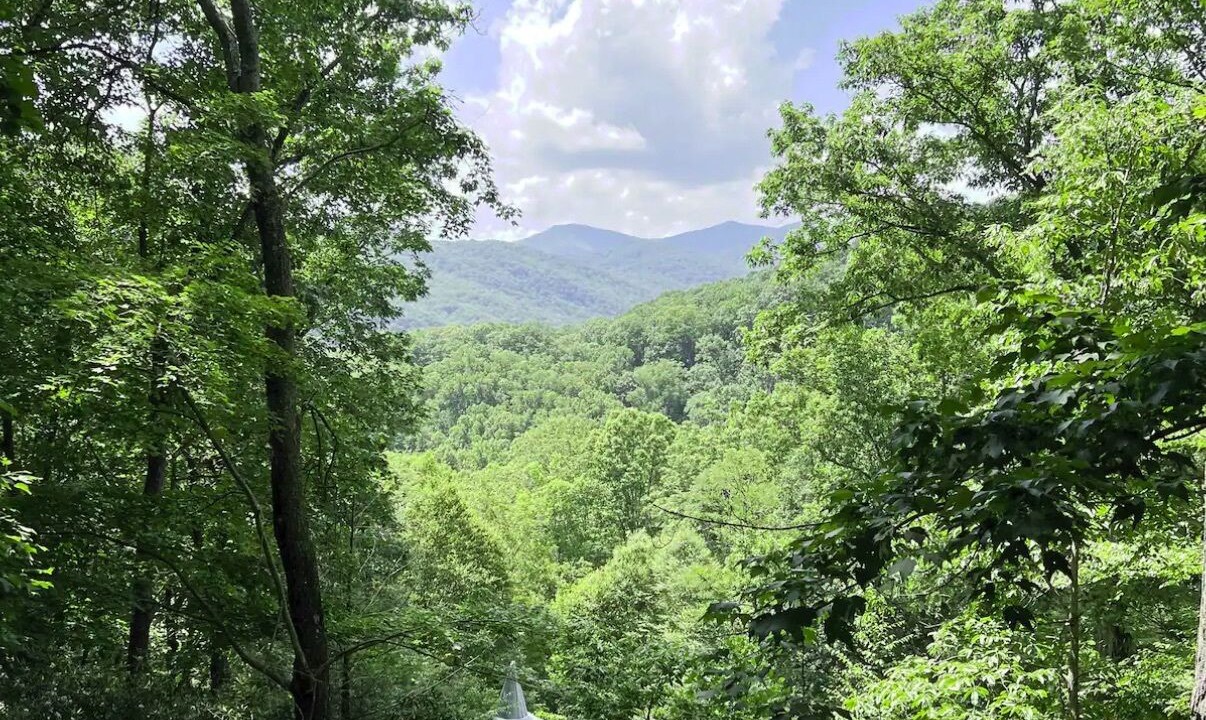 Photo of Others in Swannanoa