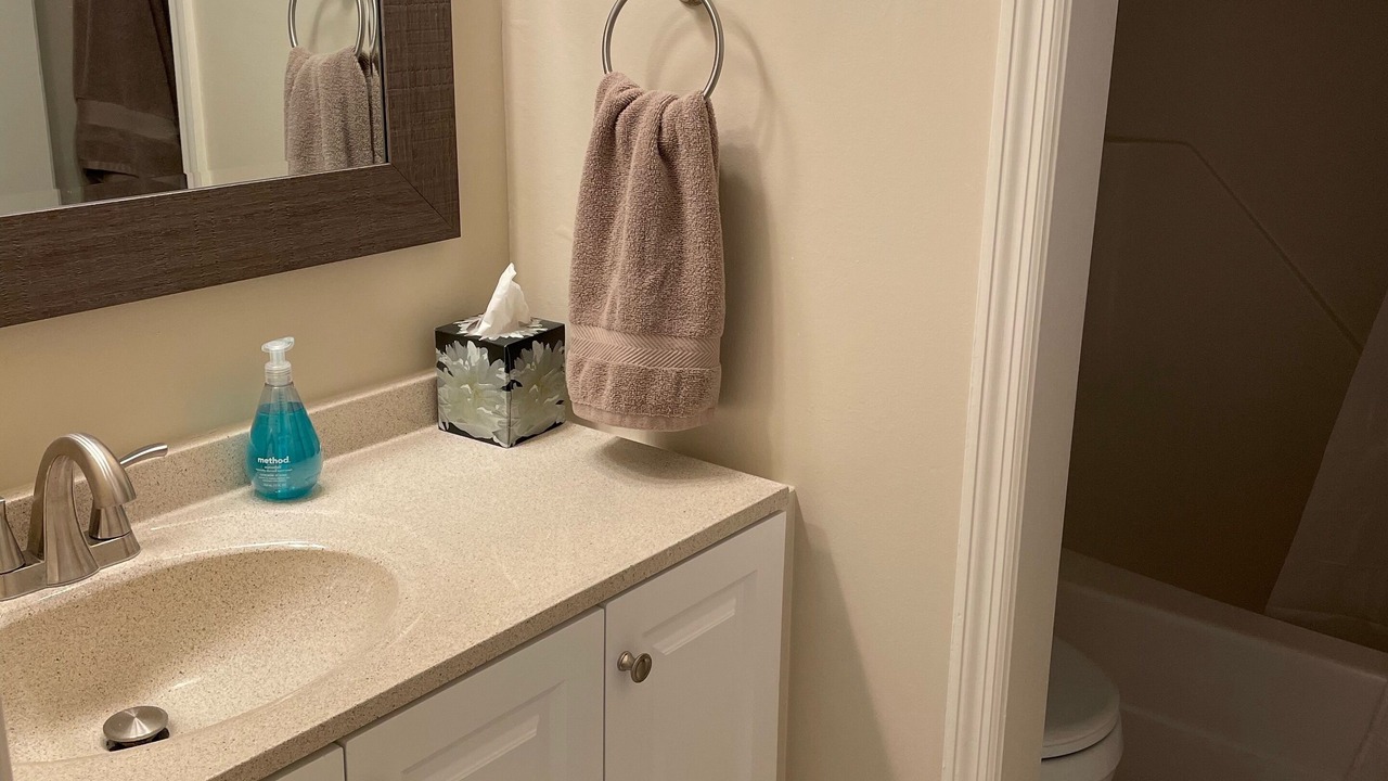 Photo of Bathroom in Pisgah Forest