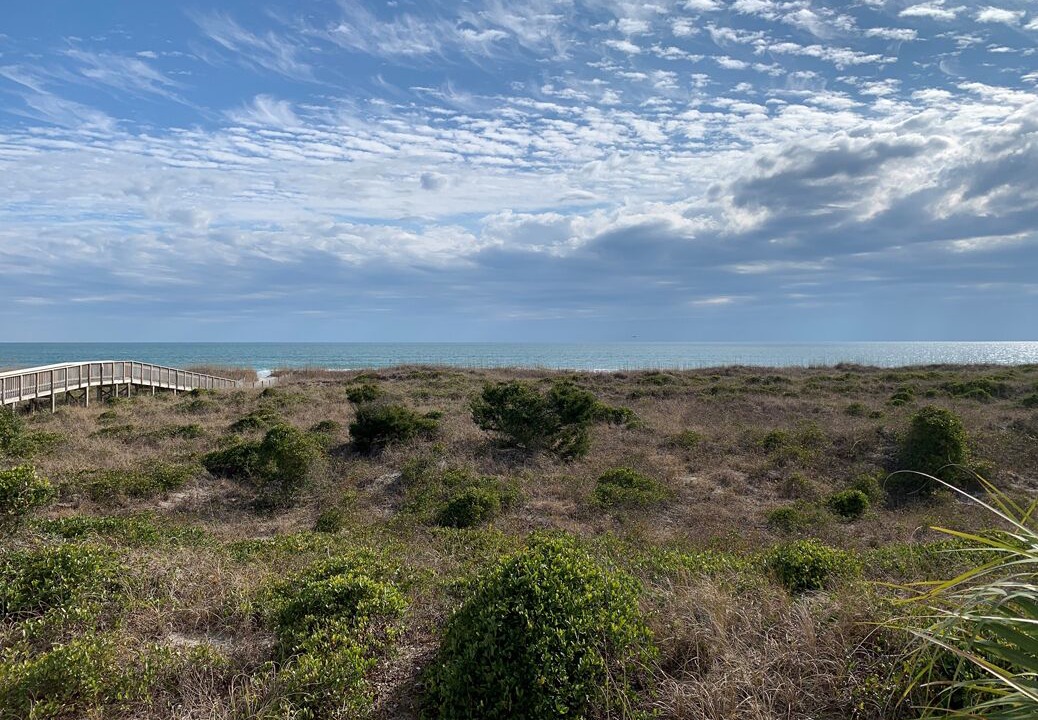Photo of Others in Shell Island