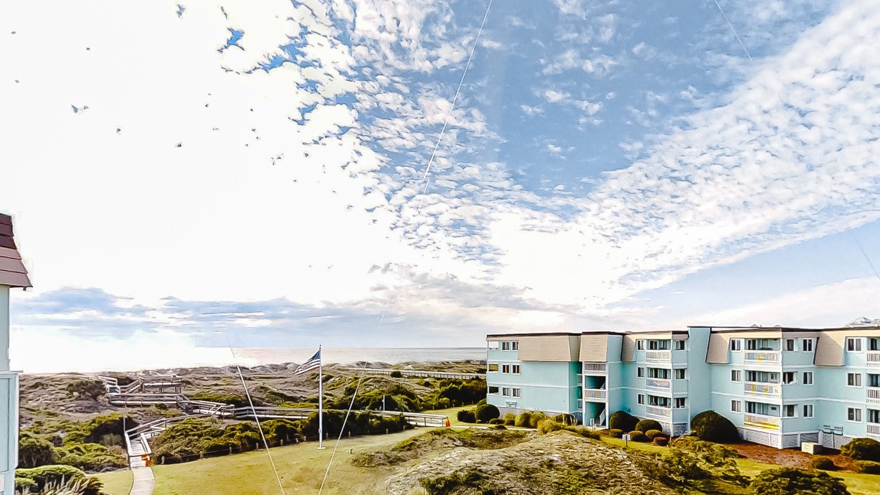 Photo of Outdoor in Morehead City