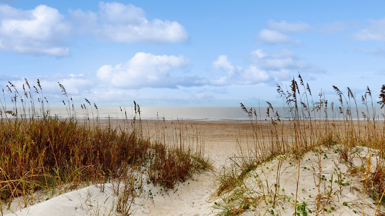 Photo of Others in Morehead City