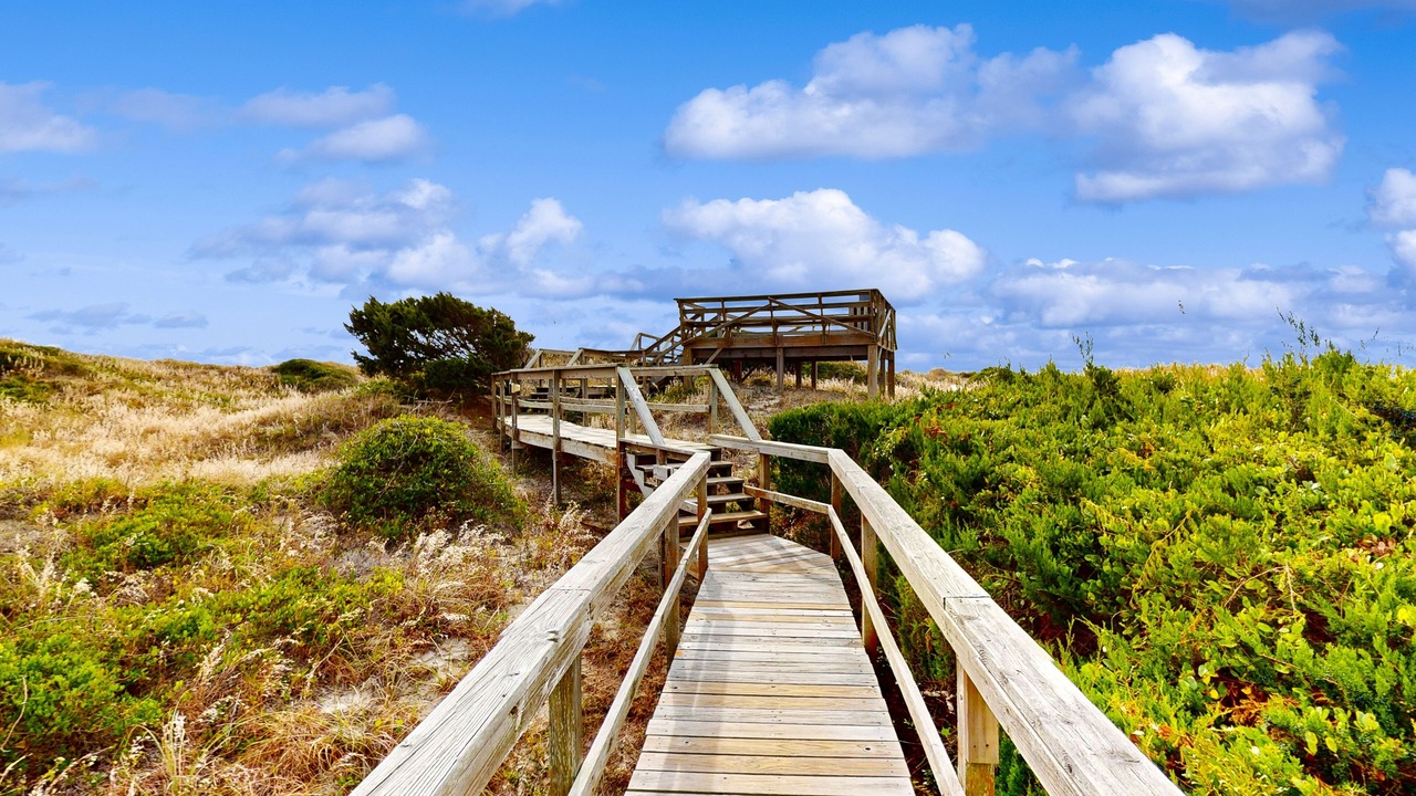 Photo of Outdoor in Morehead City