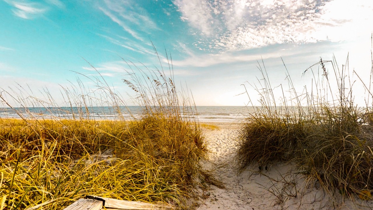 Photo of Others in Pine Knoll Shores