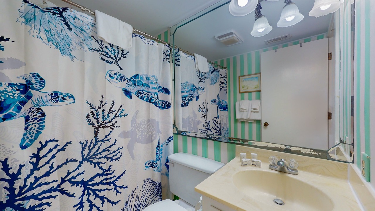 Photo of Bathroom in Pine Knoll Shores