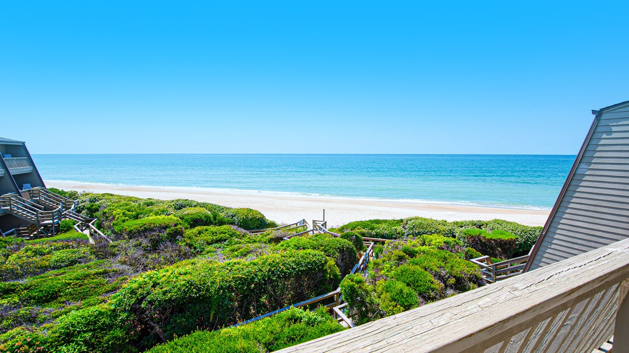 Photo of Others in Pine Knoll Shores